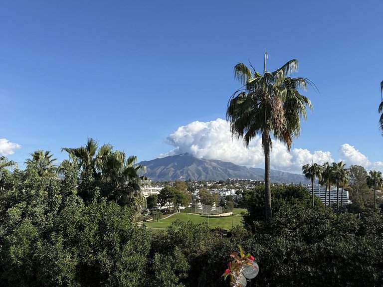 Villa for Sale in Guadalmina Alta, Malaga 15