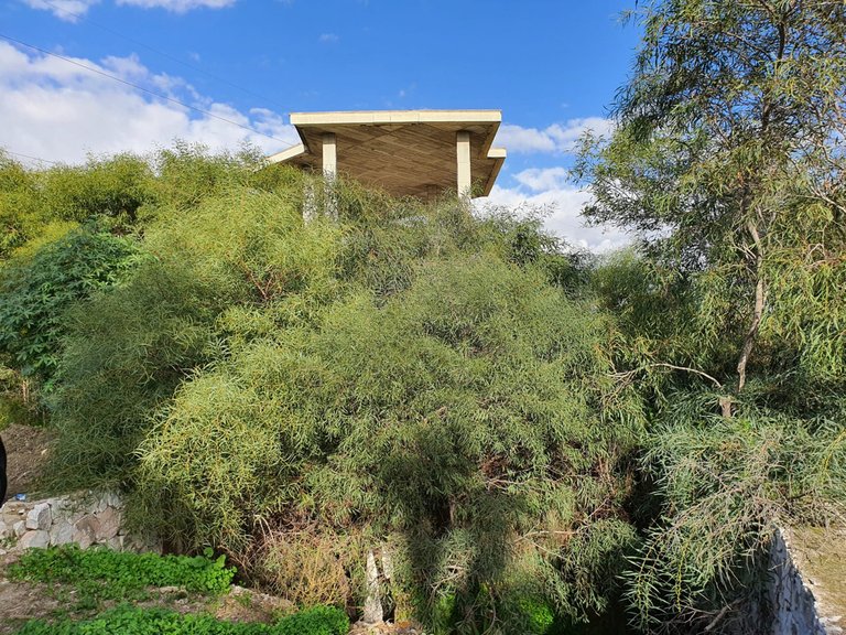 Plot for Sale in Estepona, Malaga 3