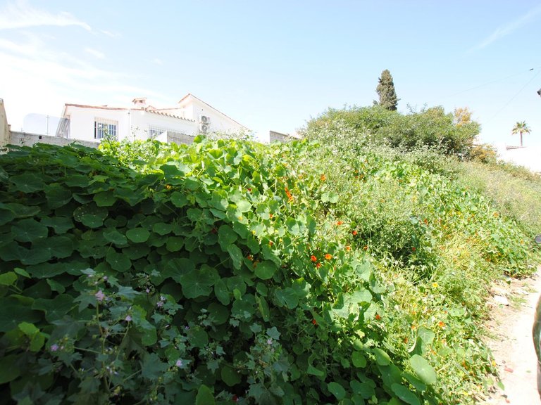 Plot for Sale in Fuengirola, Malaga 2