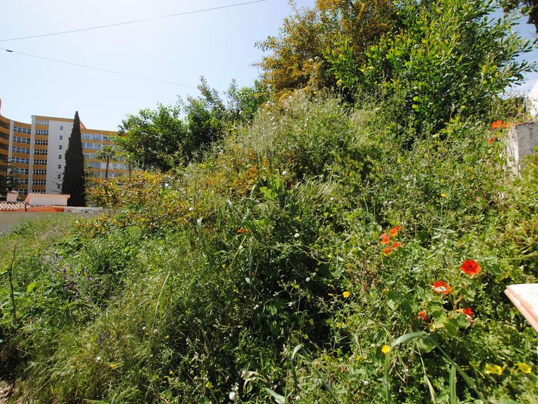Plot for Sale in Fuengirola, Malaga 4