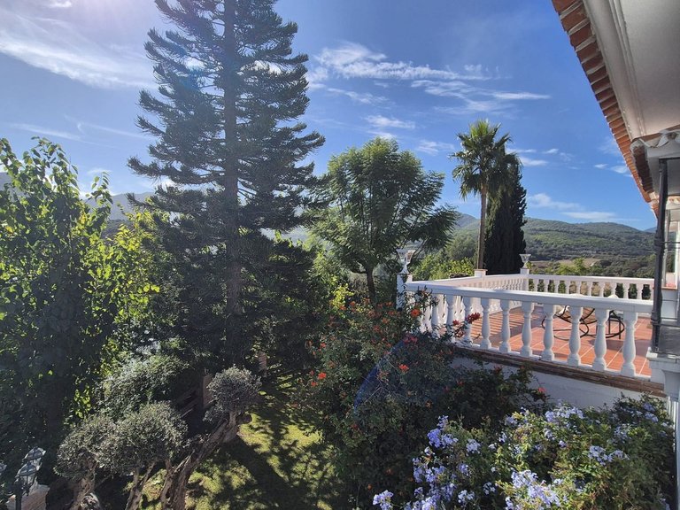 Villa for Sale in Coín, Malaga 31