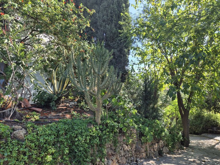 Villa for Sale in Coín, Malaga 60