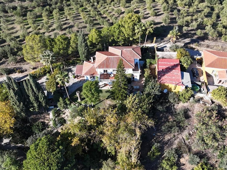 Villa for Sale in Coín, Malaga 66