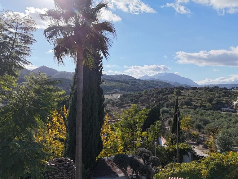 Villa for Sale in Coín, Malaga 69