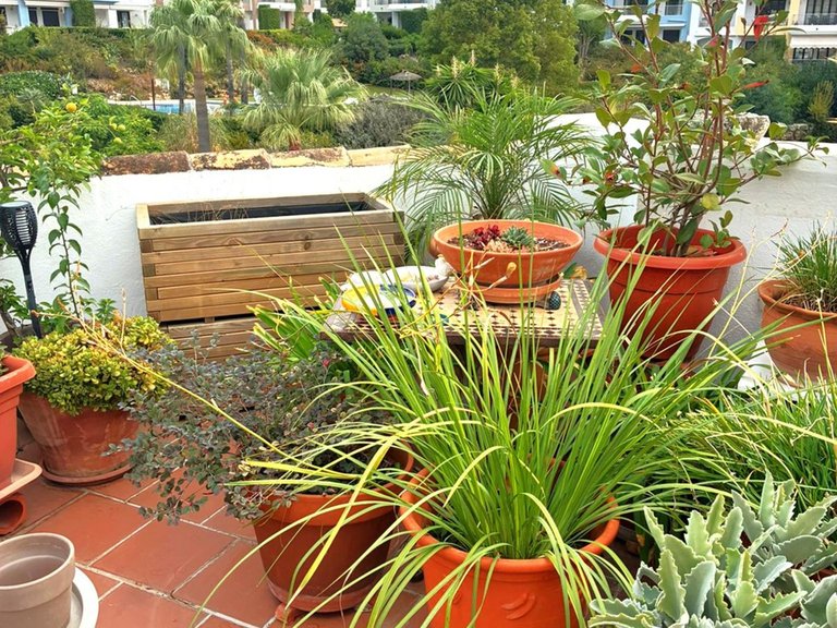 Apartment for Sale in Los Arqueros, Malaga 106