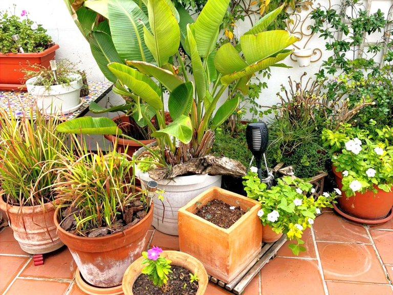 Apartment for Sale in Los Arqueros, Malaga 83