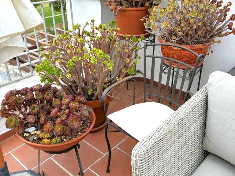 Apartment for Sale in Los Arqueros, Malaga 85
