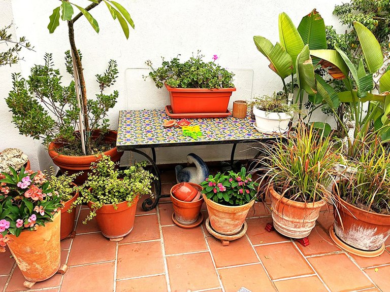 Apartment for Sale in Los Arqueros, Malaga 91