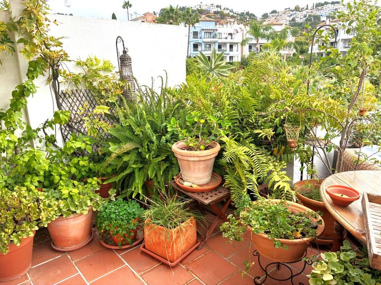 Apartment for Sale in Los Arqueros, Malaga 96