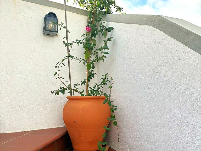 Apartment for Sale in Los Arqueros, Malaga 97