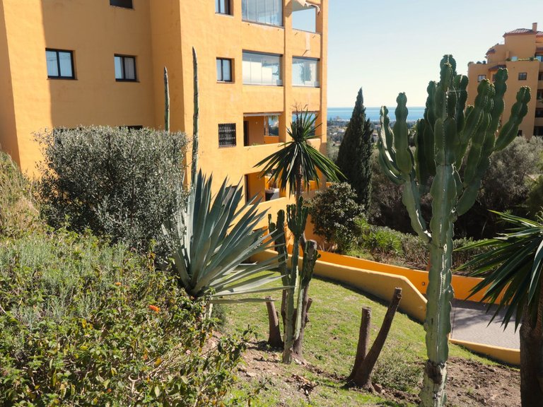 Apartment for Sale in New Golden Mile, Malaga 35