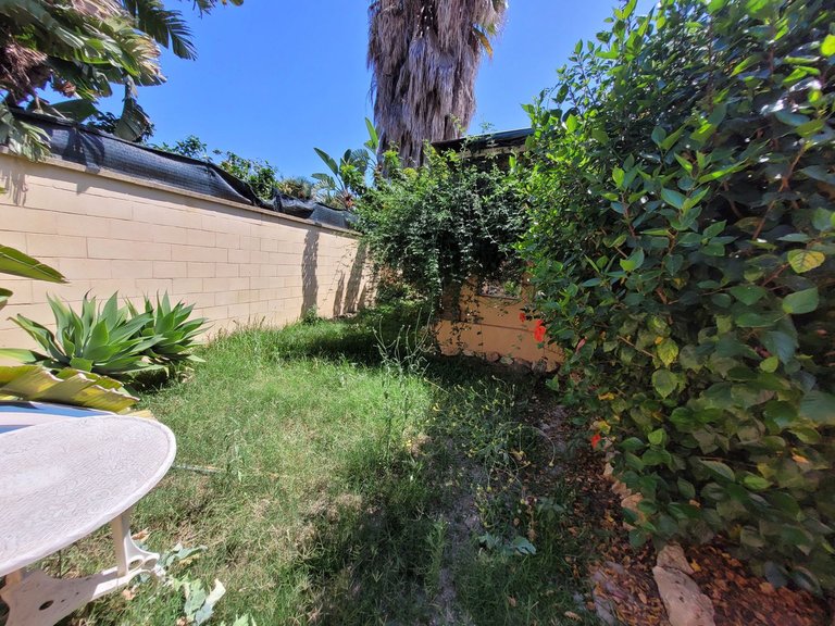 Villa for Sale in Costa del Sol Rio Real Golf, Malaga 25
