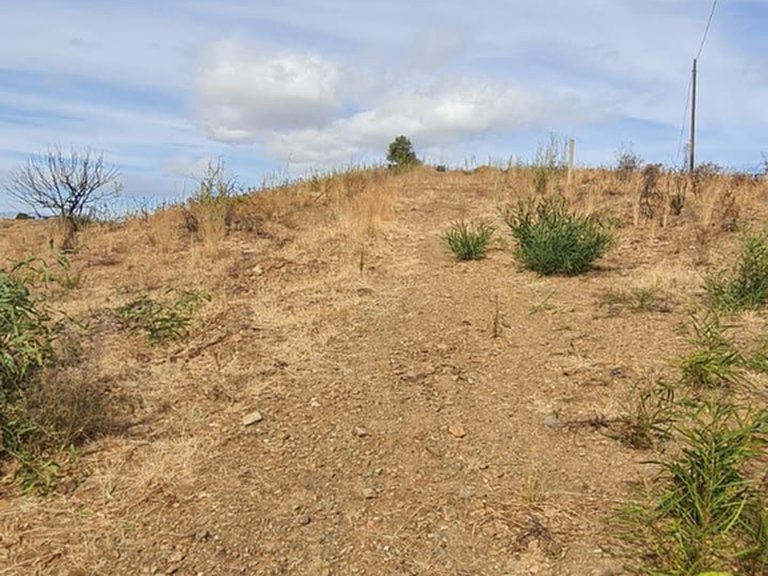 Plot for Sale in Mijas Golf, Malaga 10