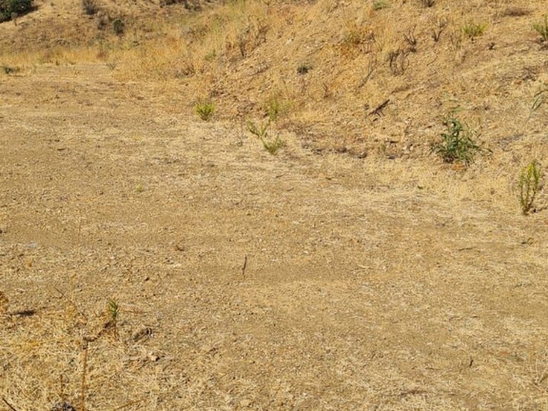 Plot for Sale in Mijas Golf, Malaga 9