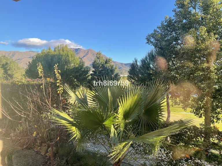Villa for Sale in Estepona, Malaga 16