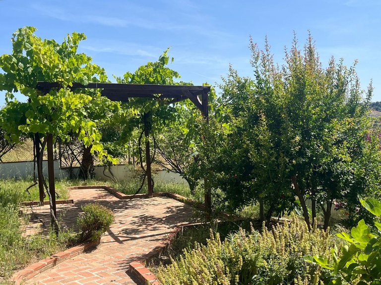 Villa for Sale in Mijas Golf, Malaga 42
