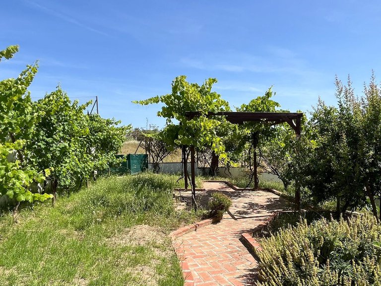Villa for Sale in Mijas Golf, Malaga 47
