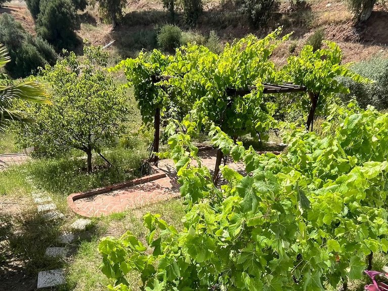 Villa for Sale in Mijas Golf, Malaga 50