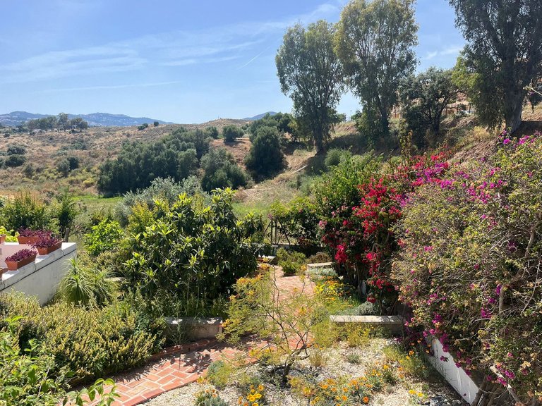 Villa for Sale in Mijas Golf, Malaga 53