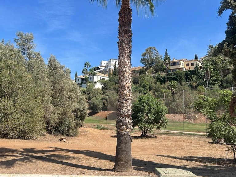 Plot for Sale in Mijas Golf, Malaga 3