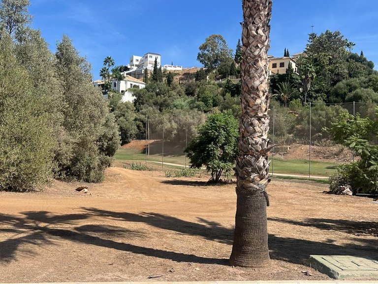 Plot for Sale in Mijas Golf, Malaga 4