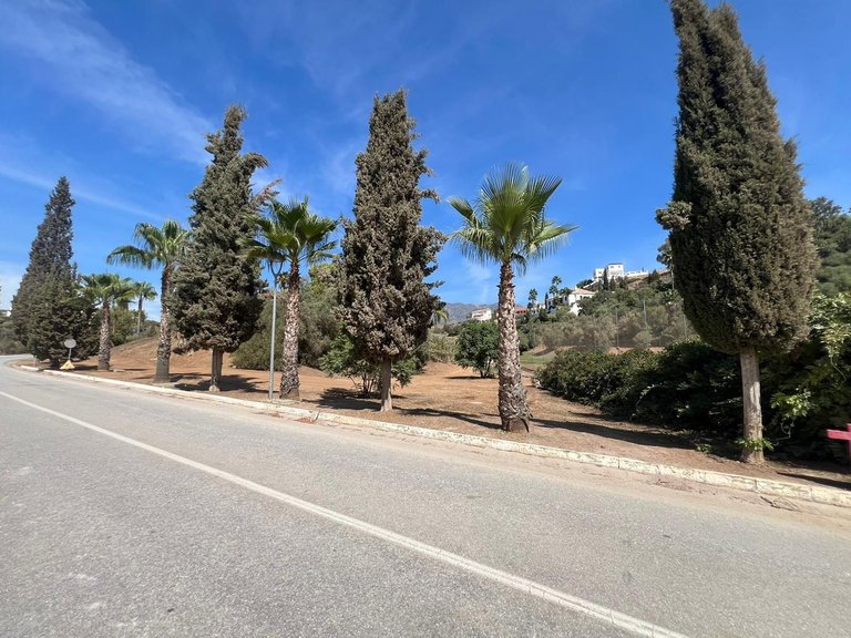 Plot for Sale in Mijas Golf, Malaga 5