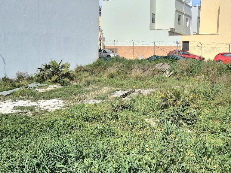 Plot for Sale in Cancelada, Malaga 12
