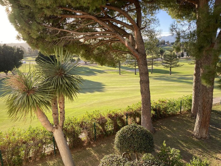 Apartment for Sale in Mijas, Malaga 15