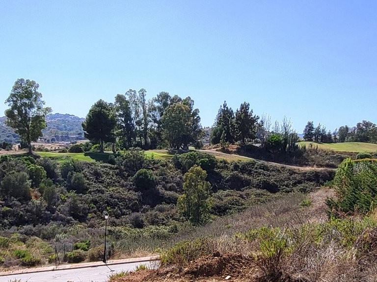 Villa for Sale in La Cala Golf, Malaga 22