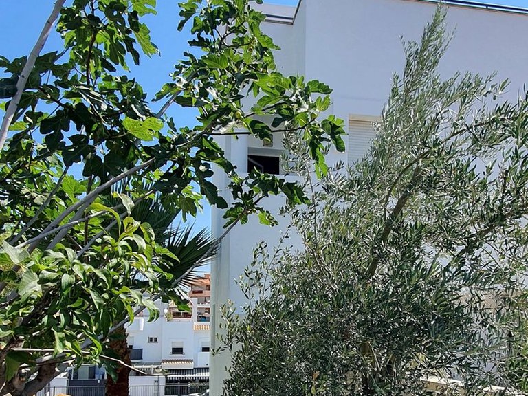 Villa for Sale in Fuengirola, Malaga 4