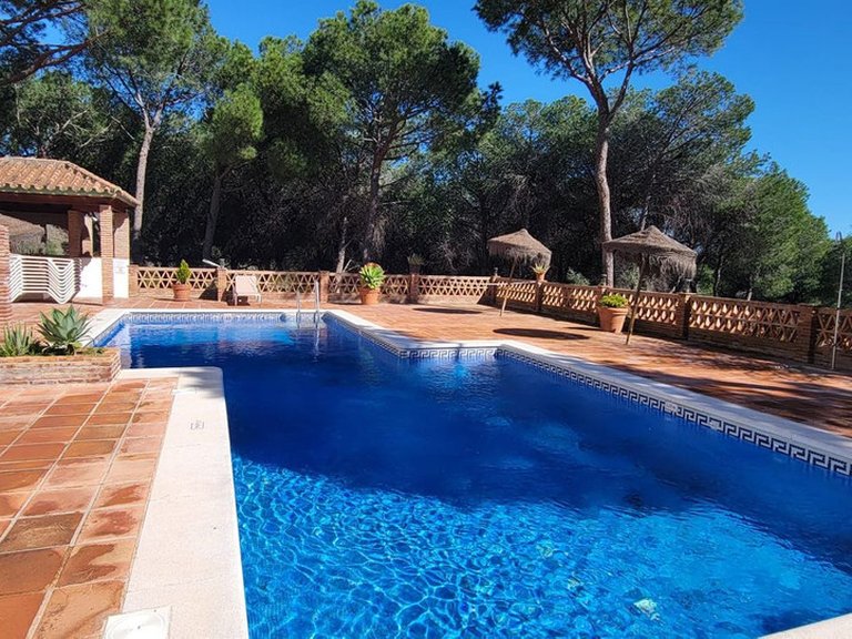 Apartment for Sale in Puerto Banús, Malaga 25