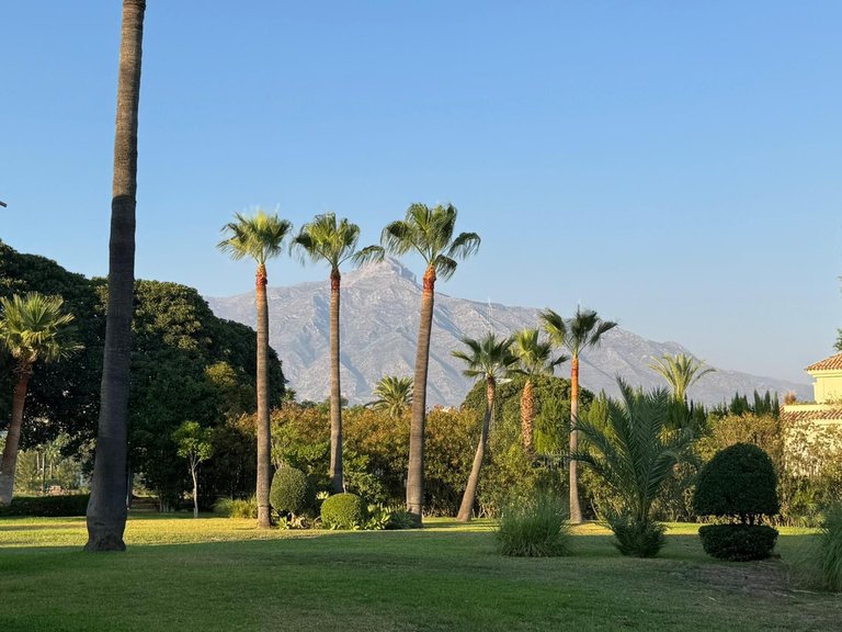 Apartment for Sale in Nueva Andalucía, Malaga 32