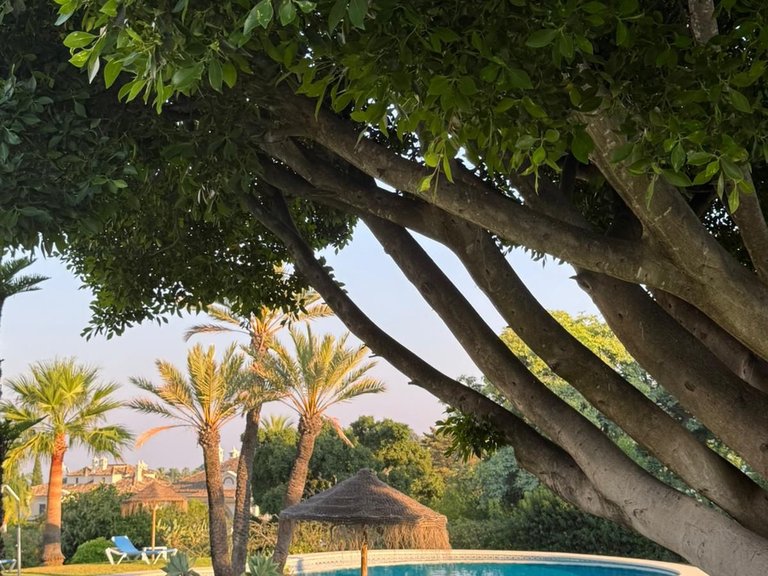 Apartment for Sale in Nueva Andalucía, Malaga 38