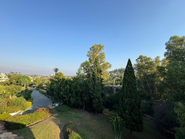 Apartment for Sale in Nueva Andalucía, Malaga 39