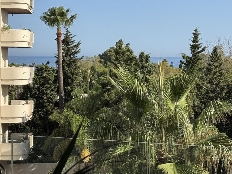 Apartment for Sale in Nueva Andalucía, Malaga 24