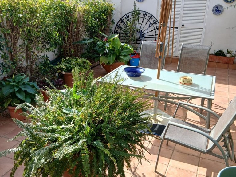 Villa for Sale in Estepona, Malaga 14
