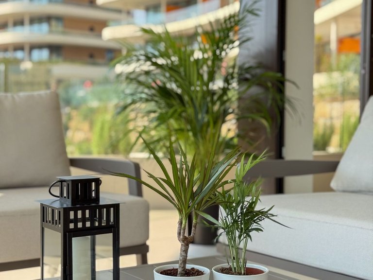 Apartment for Sale in Fuengirola, Malaga 7