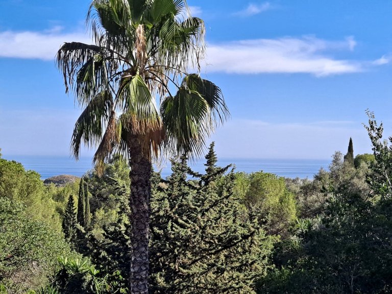 Villa for Sale in Mijas, Malaga 15