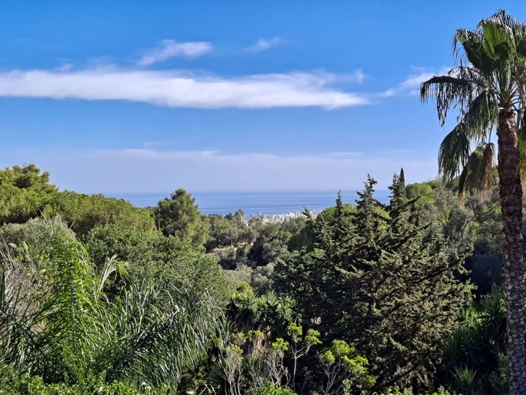 Villa for Sale in Mijas, Malaga 17