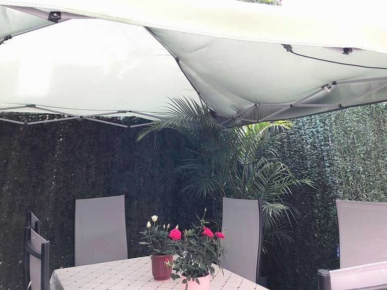 Villa for Sale in Selwo, Malaga 10