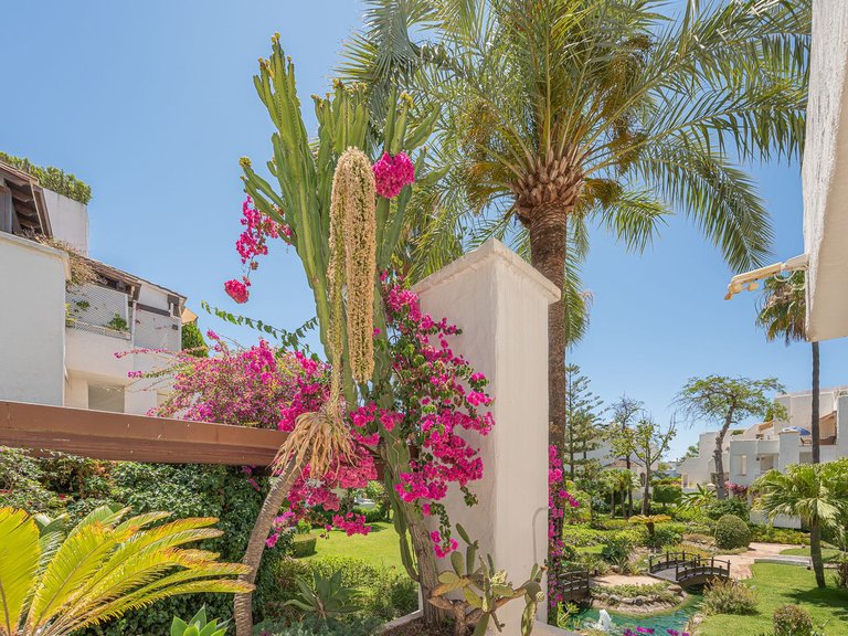 Apartment for Sale in Marbella, Malaga 16