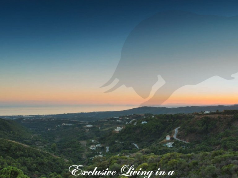 Plot for Sale in Benahavís, Malaga 13