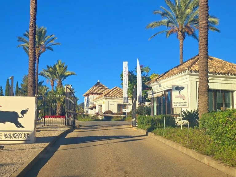 Plot for Sale in Benahavís, Malaga 2