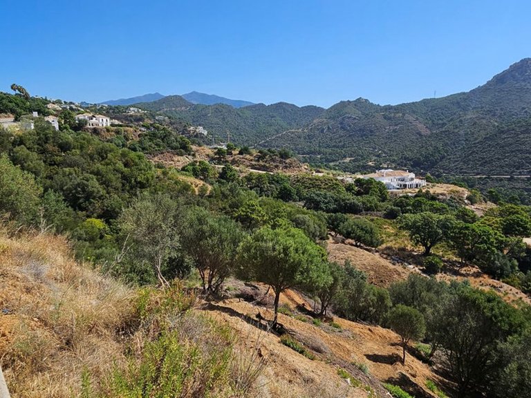 Plot for Sale in Benahavís, Malaga 5