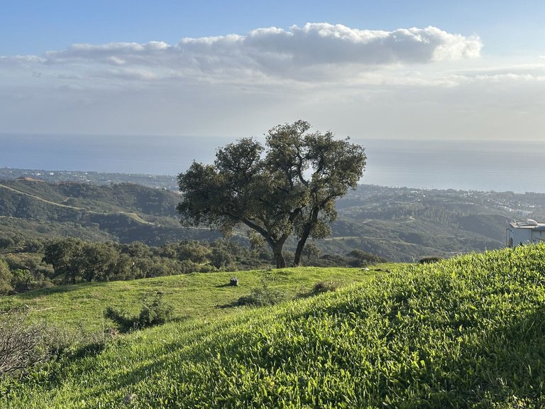 Plot for Sale in La Mairena, Malaga 1