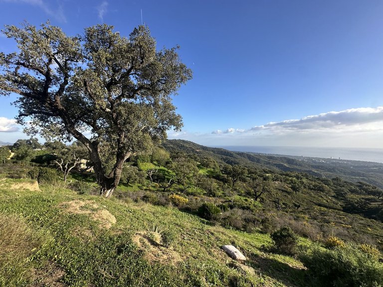 Plot for Sale in La Mairena, Malaga 14