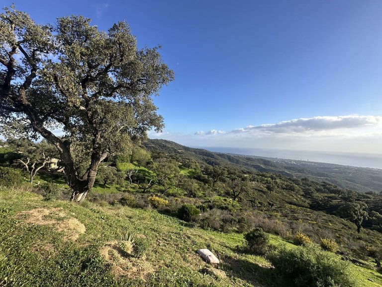 Plot for Sale in La Mairena, Malaga 16