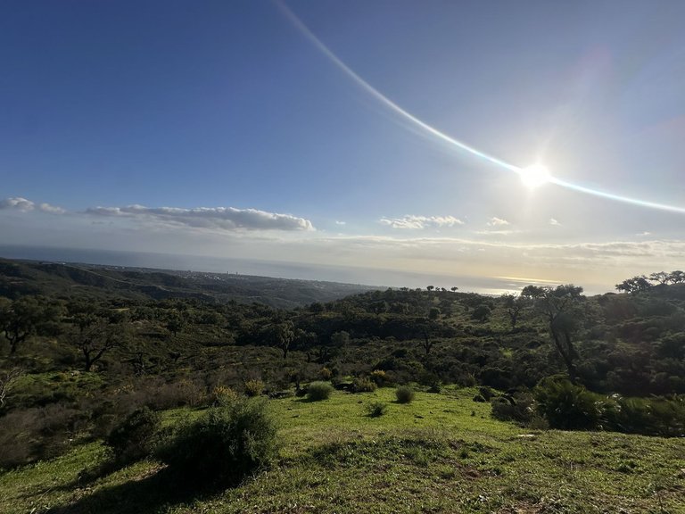Plot for Sale in La Mairena, Malaga 17