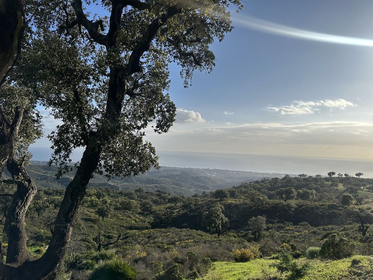 Plot for Sale in La Mairena, Malaga 19