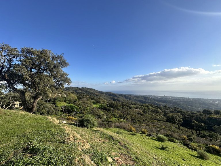 Plot for Sale in La Mairena, Malaga 2